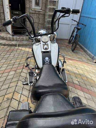 Harley-davidson flstn