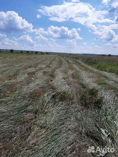Сено в руллонах