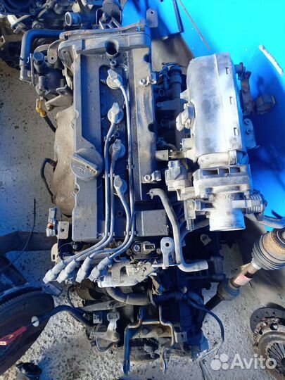 Двигатель Hyundai Elantra Хундай Элантра