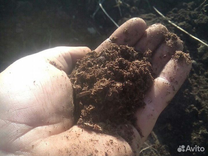 Перегной,навоз,земля,чернозем,конский навоз