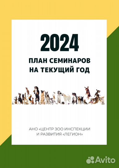 Кинологические курсы на 2024 год