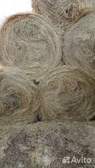 Сено в рулонах
