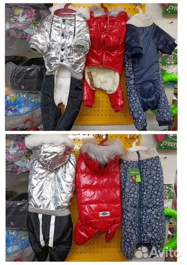 Одежда для собак