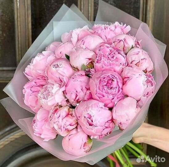 Пионы Букеты Цветы Доставка