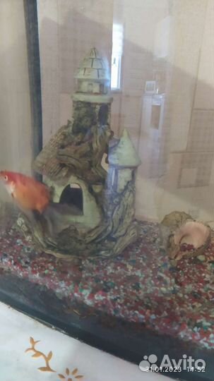 Аквариум