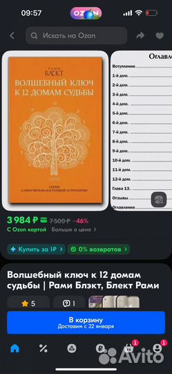 Волшебный ключ к 12 домам судьбы.Рами Блект