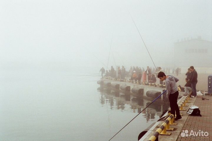 Зенит 11 + Гелиос 44М-4 (с примерами фото)