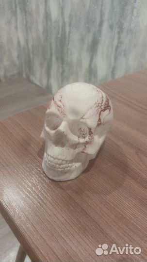 Череп для декора
