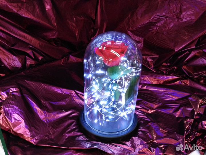 Роза в колбе во Владимире. В наличие