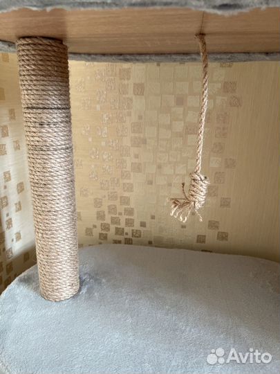 Когтеточка