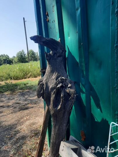 Топляк декоративный