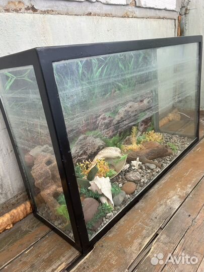 Аквариум