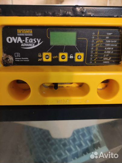 Инкубатор для яиц Brinsea Ova-Easy