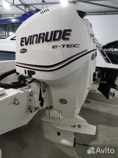 Лодочный мотор Evinrude E300