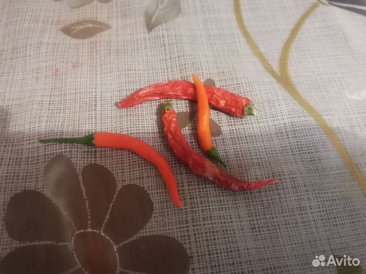 Острый Перец Чили на семена