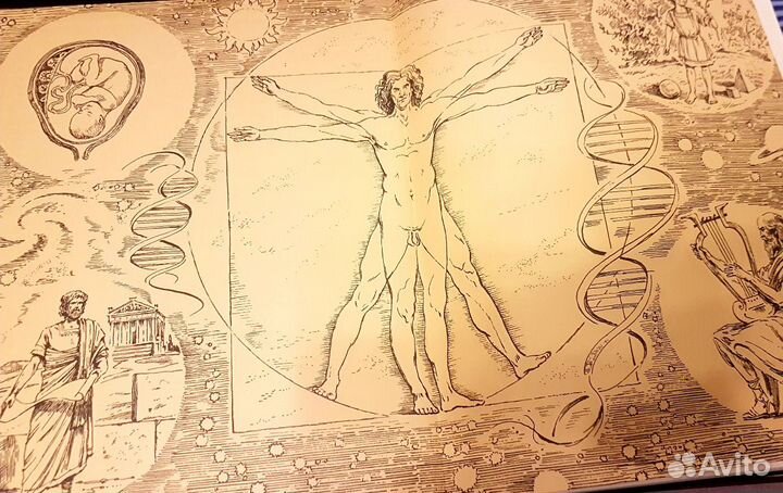 Энциклопедия Человек.,Аванта+