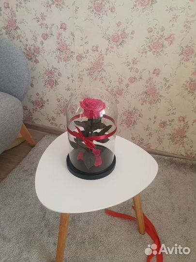 Роза в колбе живая, +подарочная коробка