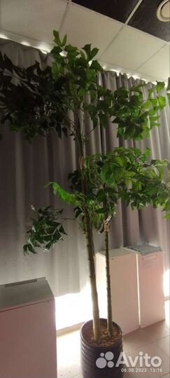 Искусственное дерево в горшке,пальма