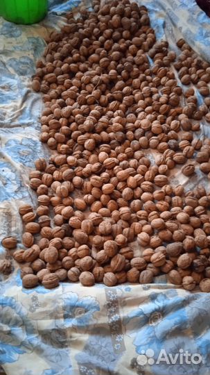 Грецкий орех