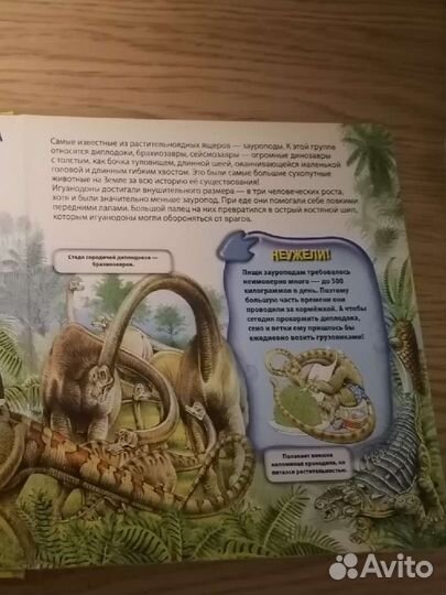 Детская энциклопедия с окошками