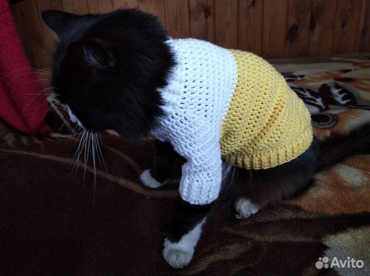 Одежда для собак и кошек