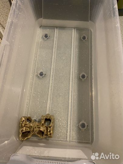 Террариум для черепахи