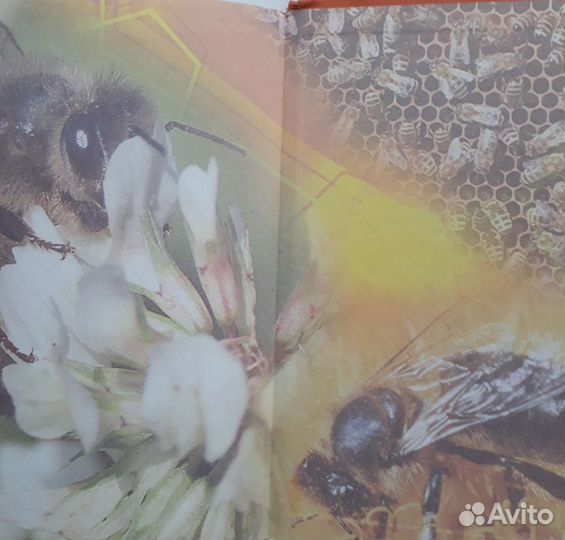 Хисматуллина Практическая апитерапия