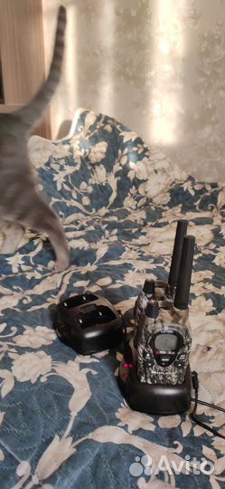 Рации и радиостанции комплект