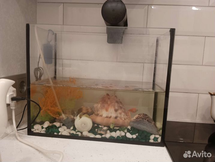 Аквариум