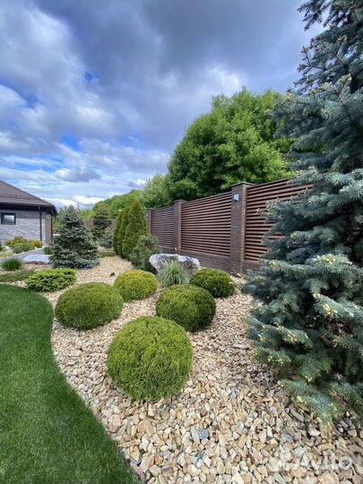 Профессиональная стрижка деревьев и кустарников