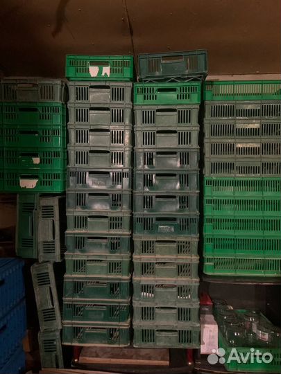 Ящик для цыплят