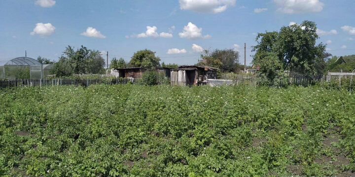 Участок 10 сот. (СНТ, ДНП)