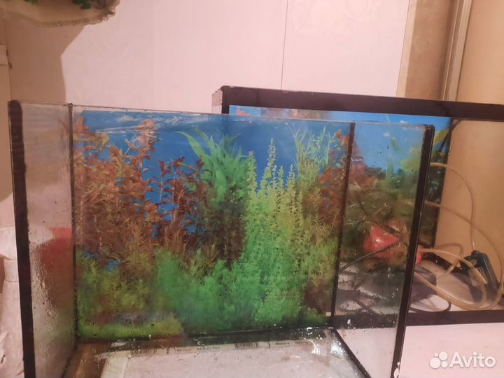 Аквариум