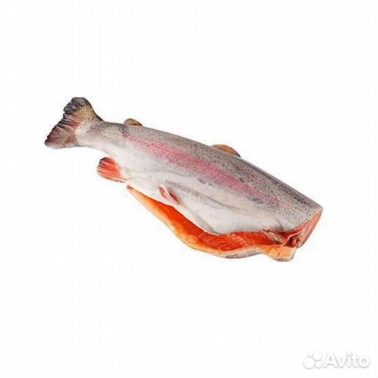 Рыба Форель Море 3+кг. Свежайшая. Лето 2023