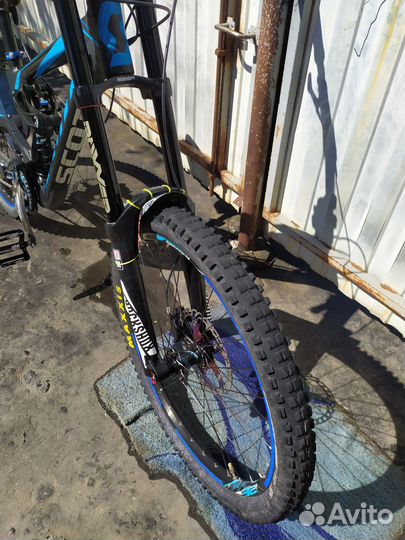 DH scott Gambler
