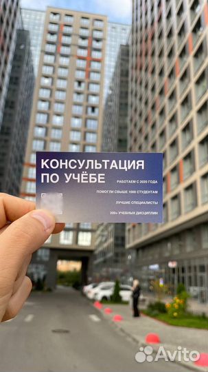 Помощь студентам / Краснодар