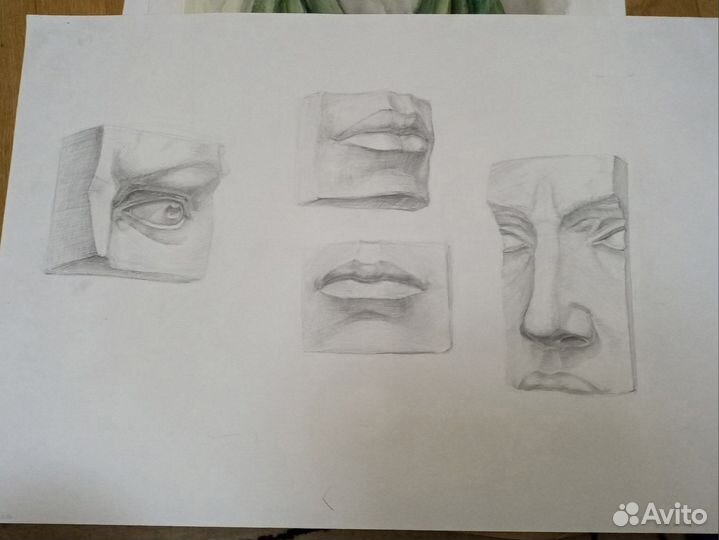 Уроки рисования (живопись, рисунок )