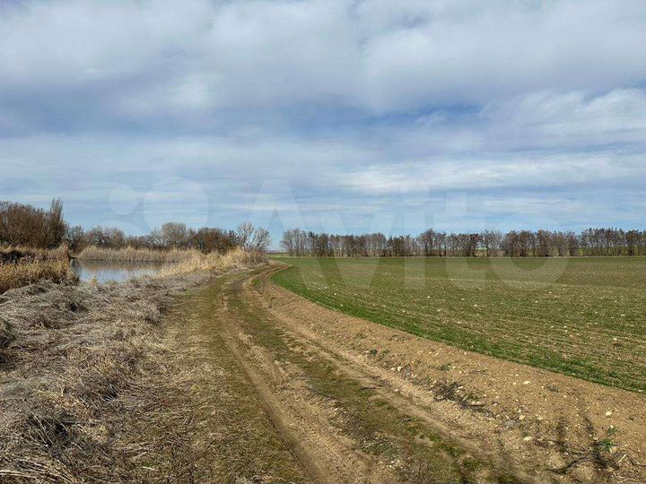 Участок 2,95 га (СНТ, ДНП)