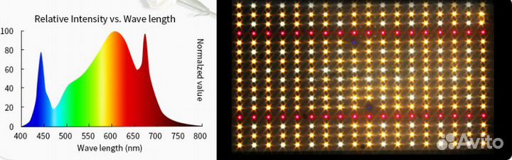 Quantum board Samsung Lm301b 240 Вт