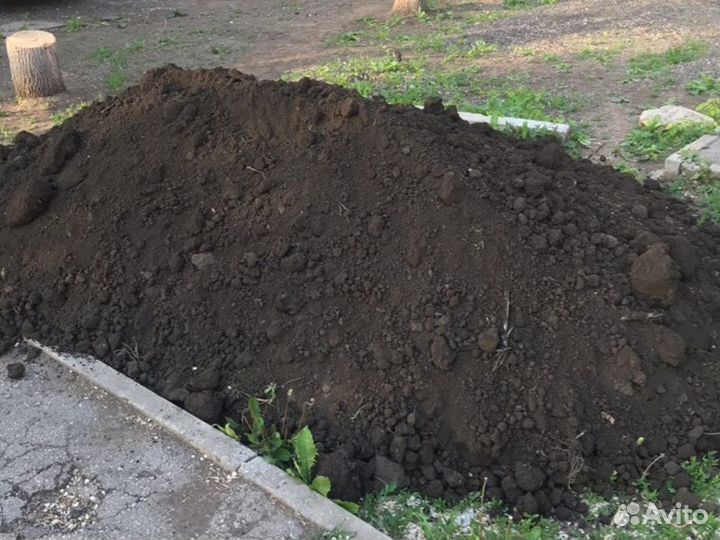 Чернозем