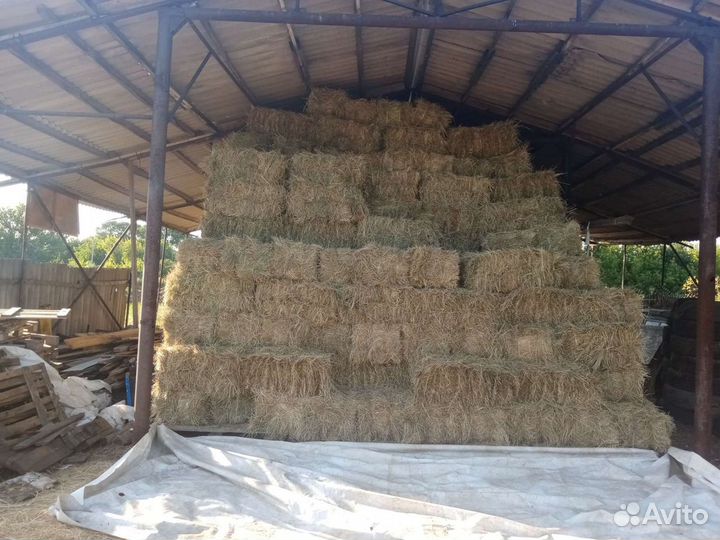 Сено луговое в тюках