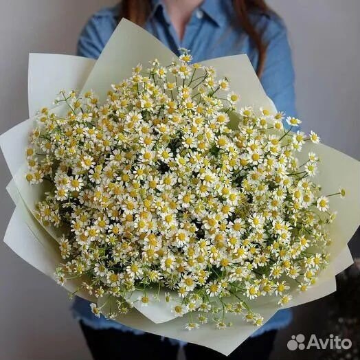 Букет из ромашек Цветы Букеты Подарки