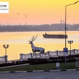 Автобусы из Йошкар-Олы до Нижнего Новгорода временно не будут ездить