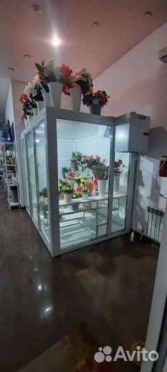Холодильная камера для цветов