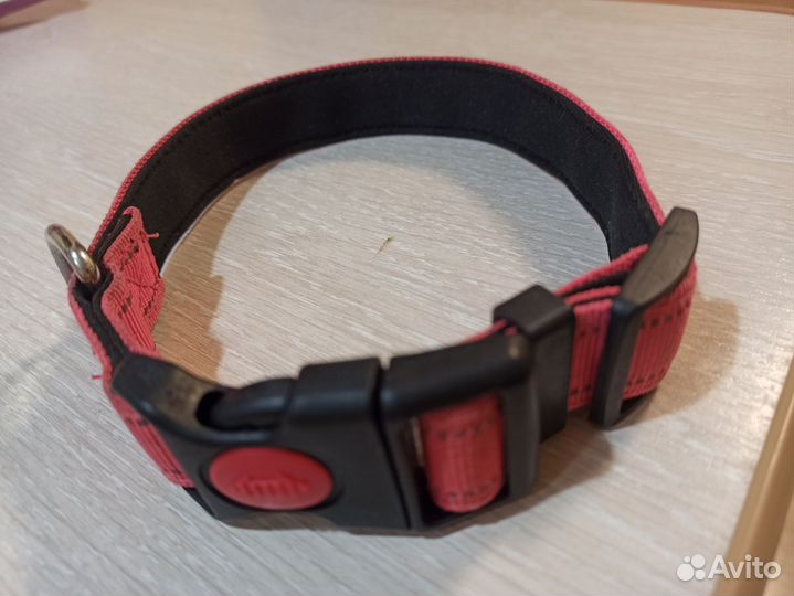 Ошейник для собак