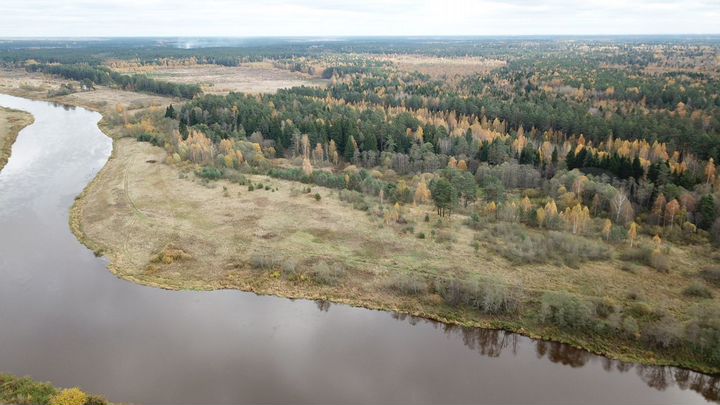 Участок 100 сот. (СНТ, ДНП)