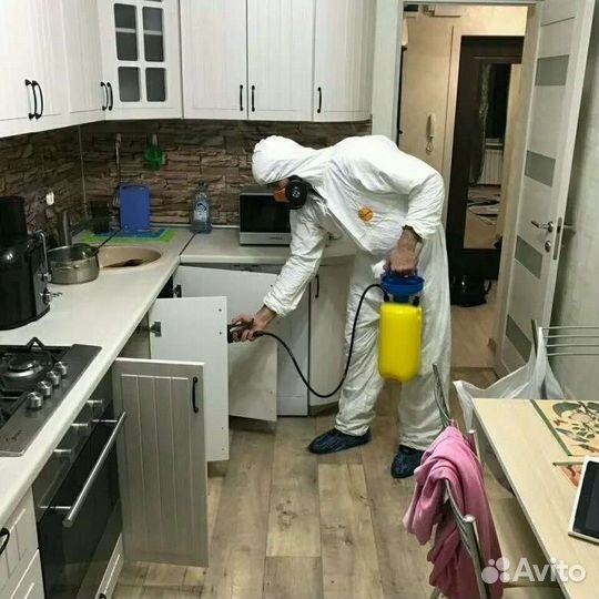 Уничтожение тараканов,клопов, Клеща