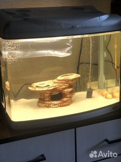 Чистка аквариума, уборка квартиры