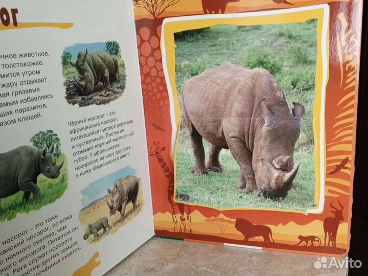 Детская энциклопедия