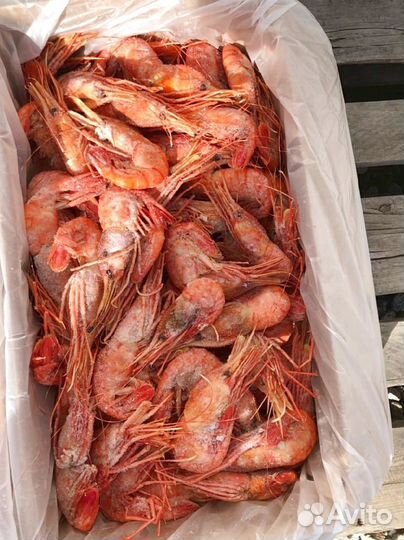 Креветка Ботан